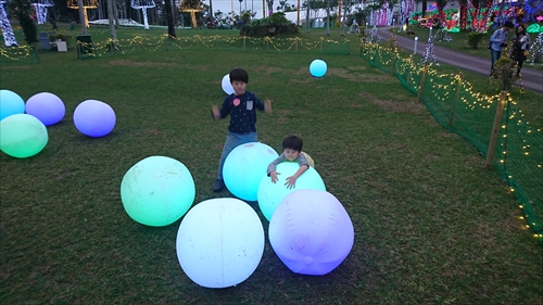 10日・東南植物楽園の光の散歩道！